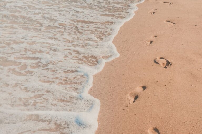 The Sand Dollar Designer & Original Foot-print Artist